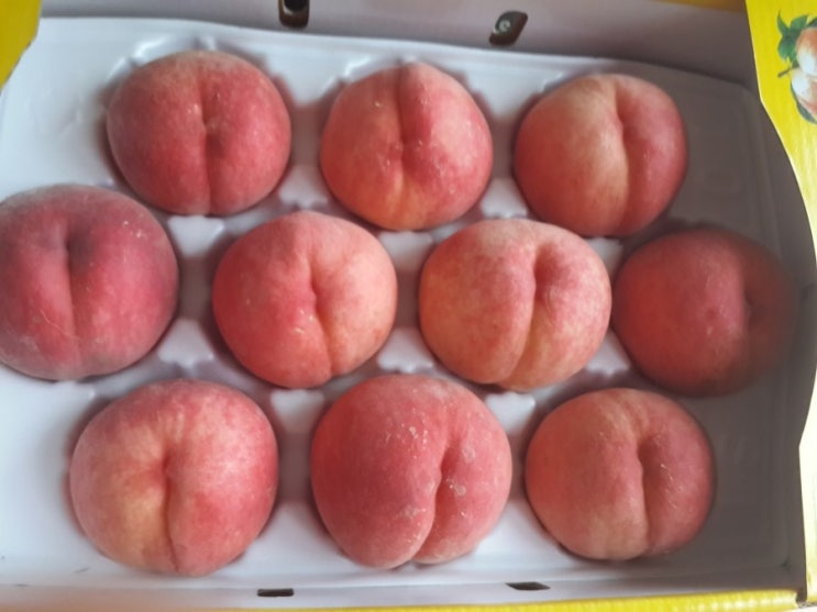 백천수산 이미지