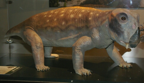 리스트로사우루스(Lystrosaurus) 네이버 블로그