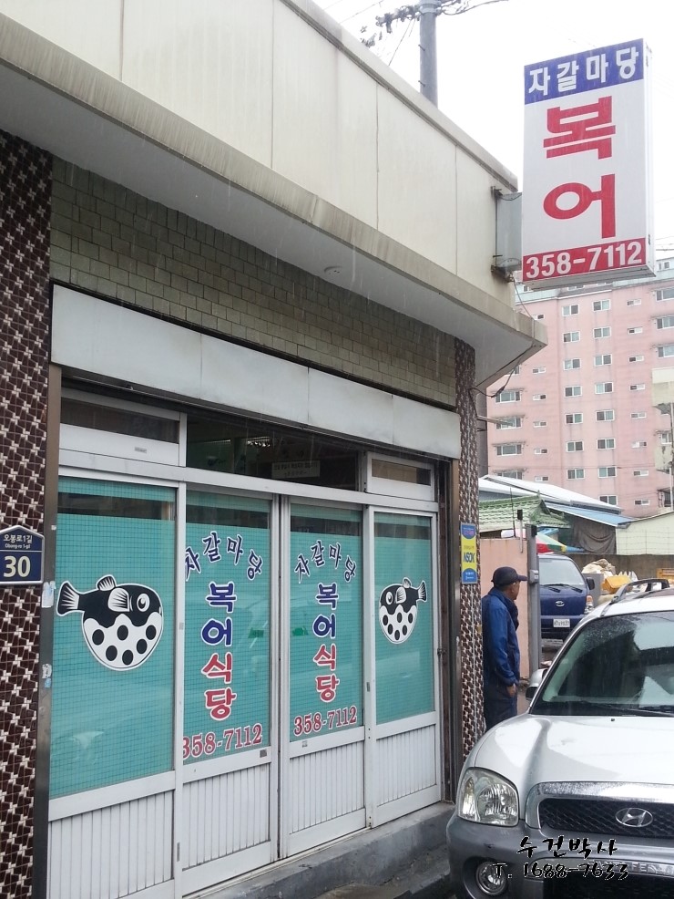 자갈복어 이미지