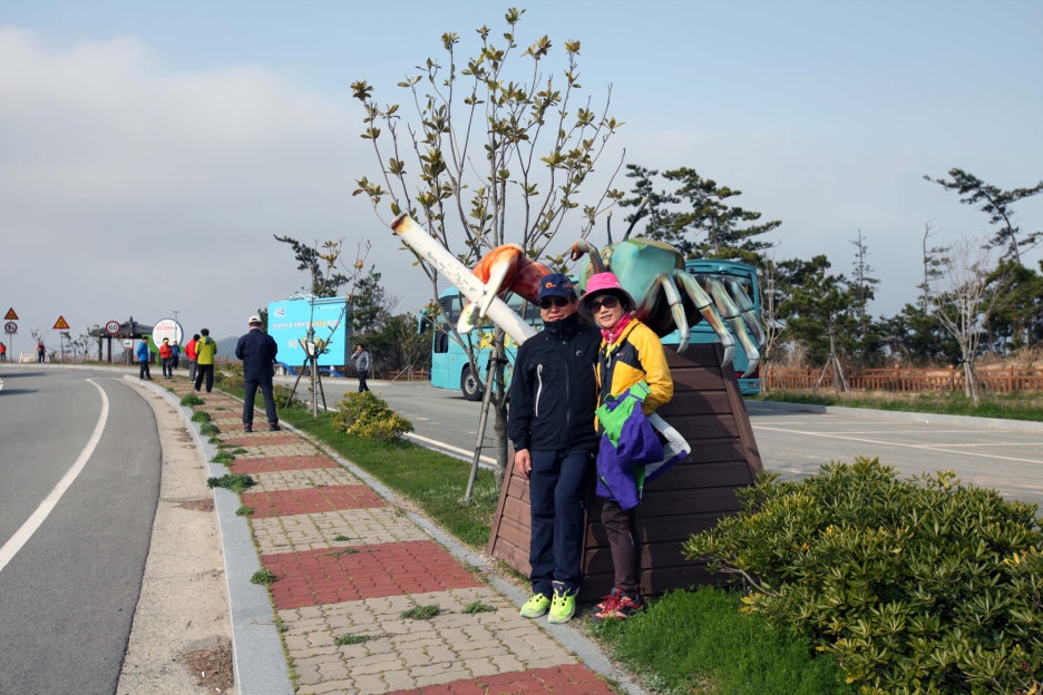 사옥도 이미지