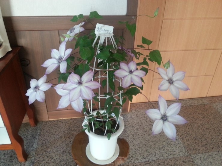두레원식품 이미지