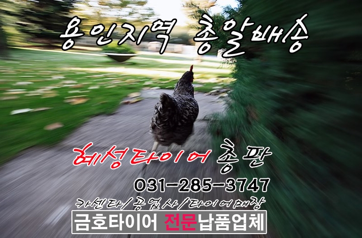 혜성타이어총판 이미지