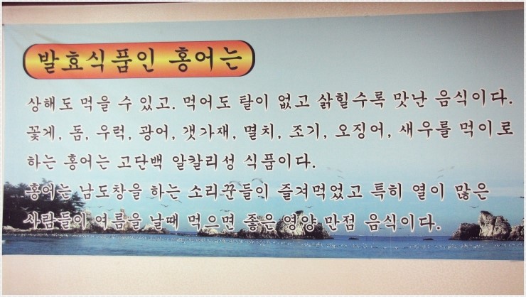 원조홍어 이미지