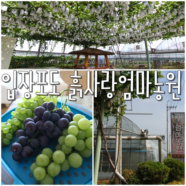 엄마사랑농원 이미지