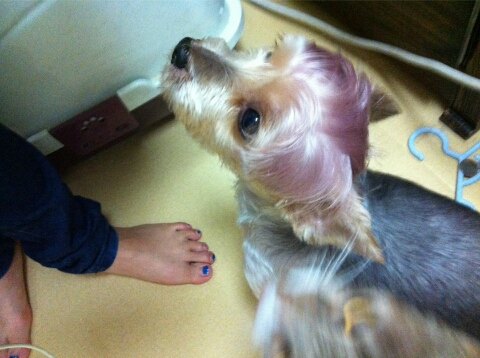 헤코샵 이미지