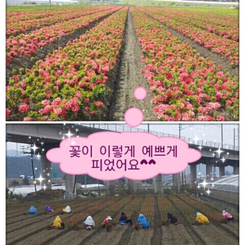 사구실농원 이미지