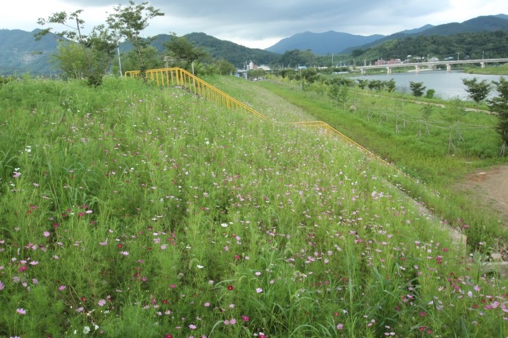 석곡정류장 이미지