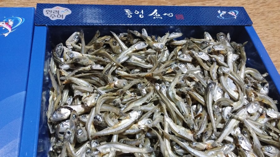 통영어심 이미지