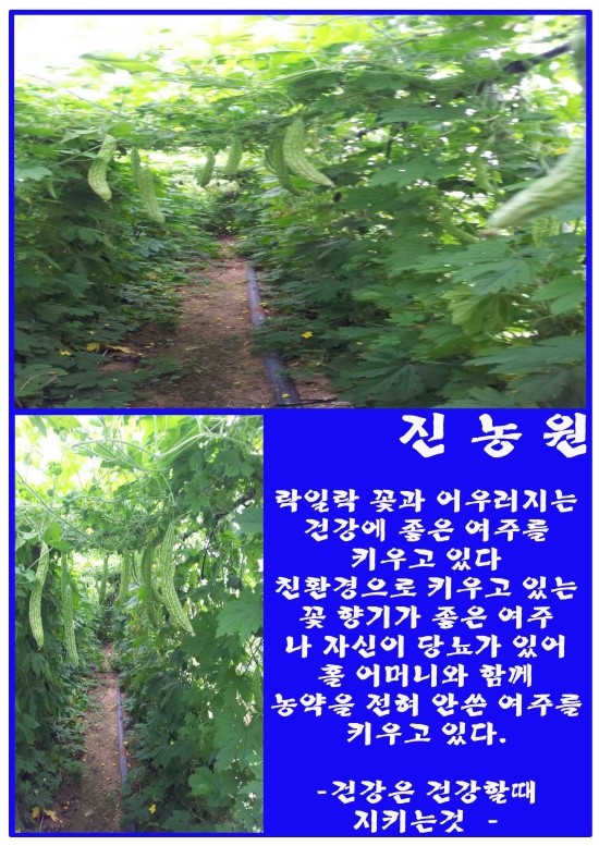 진농원 이미지