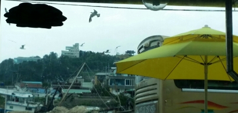 박근석명품대게직판장 이미지