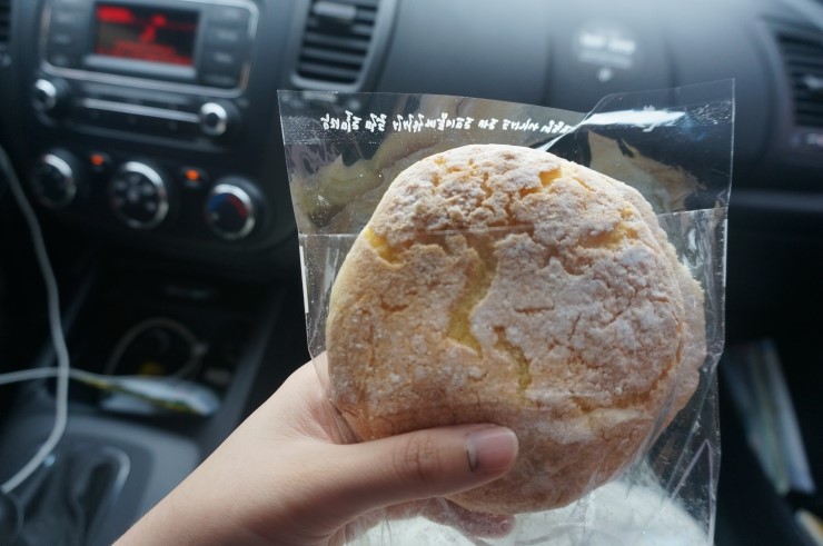 선사시대꺼먹돼지 이미지