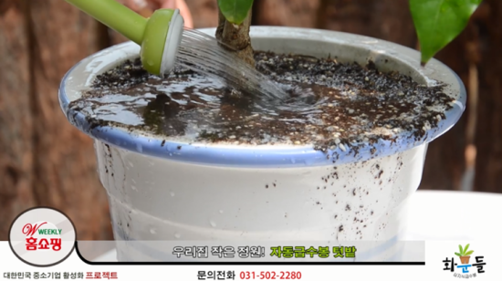 화분들닷컴 이미지