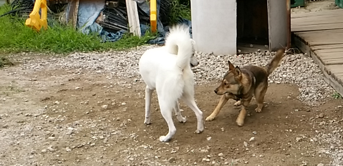 왕자궁 이미지