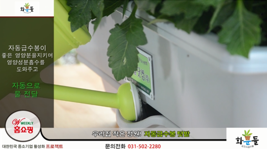 화분들닷컴 이미지