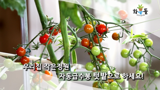 화분들닷컴 이미지