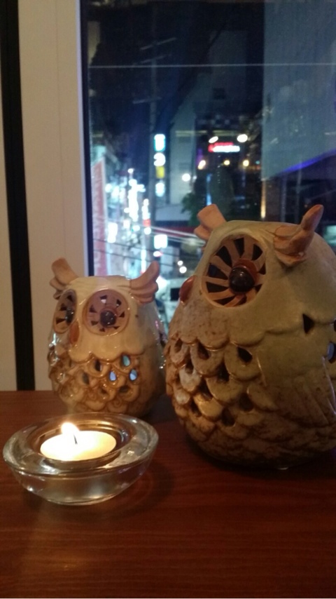 키스더쿡 이미지