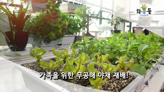 화분들닷컴 이미지