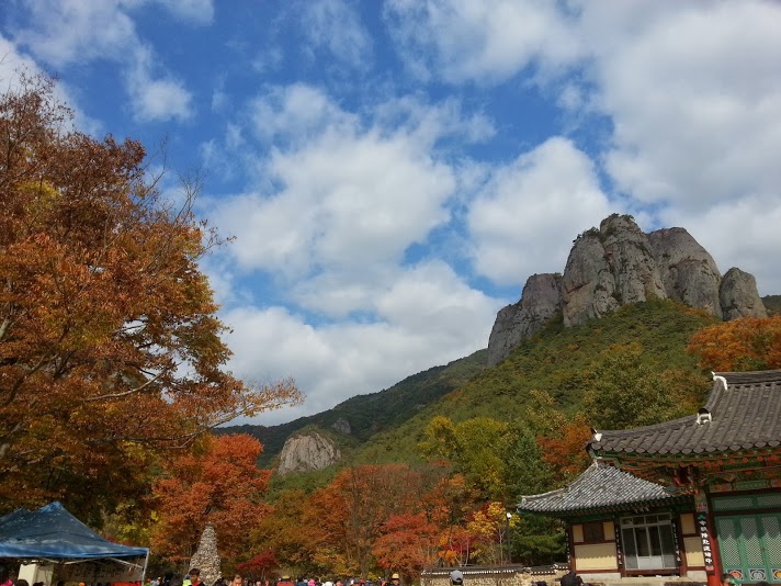 25시배터리 이미지