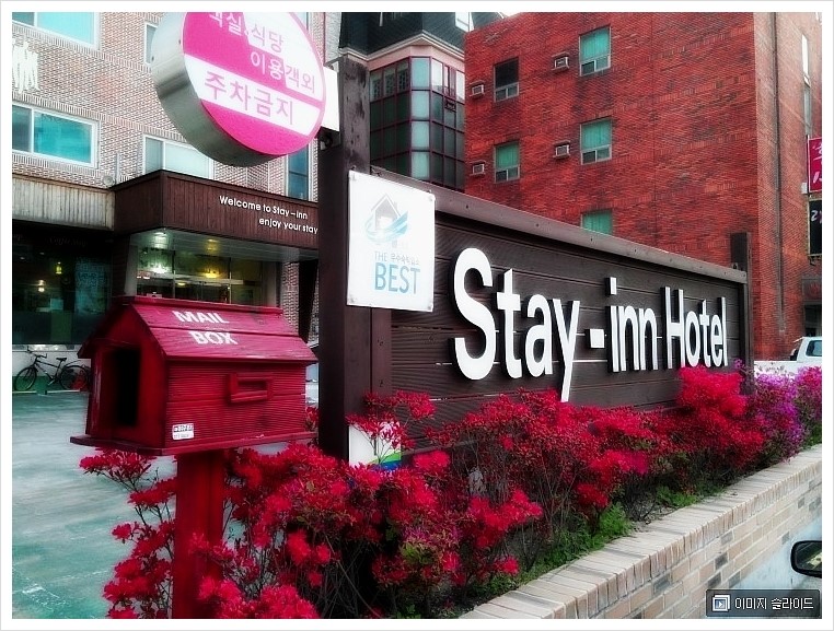 스테이인호텔 이미지