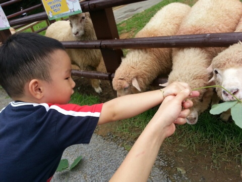 대영목장 이미지