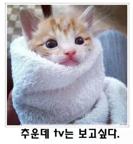 공감 이미지