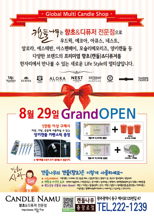 캔들나무 이미지
