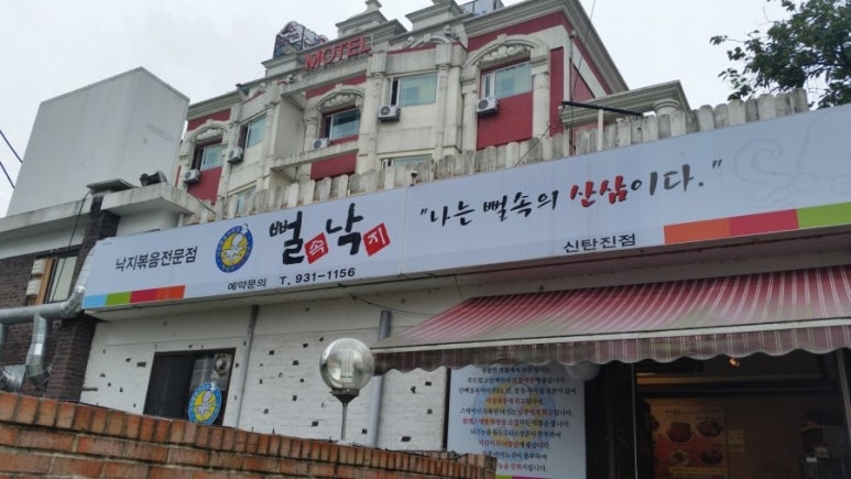 뻘속낙지 이미지