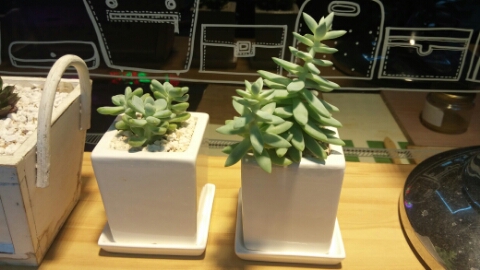 잇녀가죽공방 이미지