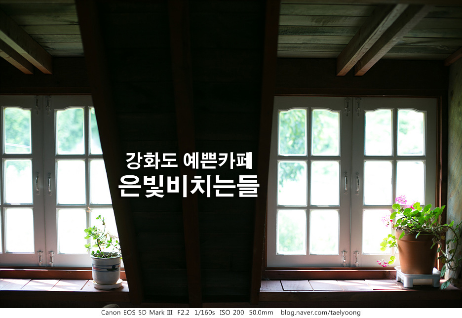 은빛비치는들 이미지