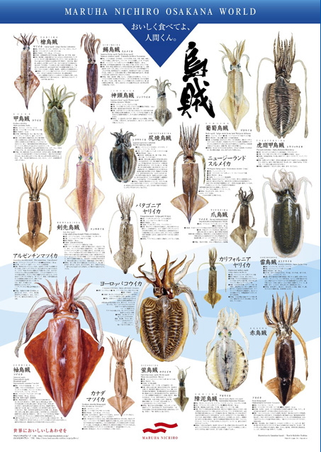 주식회사 마루 이미지