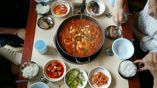제주통도야지 이미지