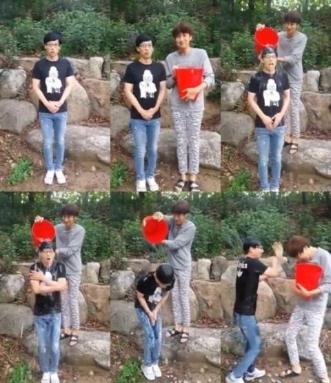 아이스스타 이미지