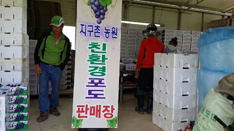 지구촌농원 이미지