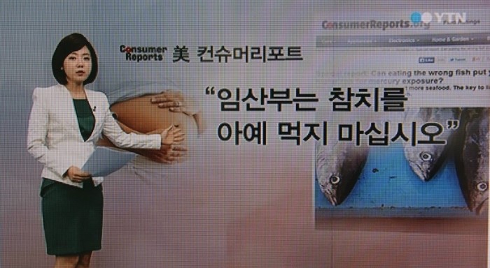 참치이야기 이미지