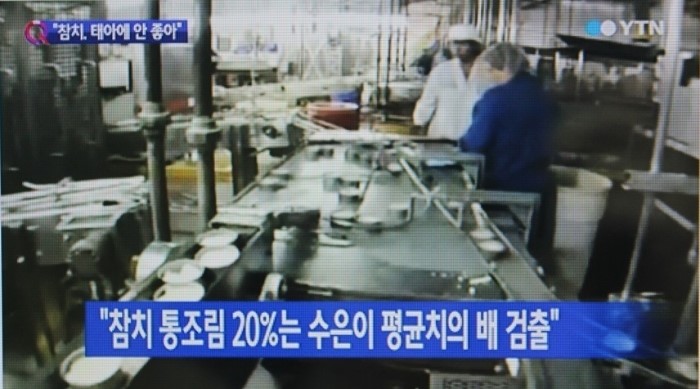 참치이야기 이미지