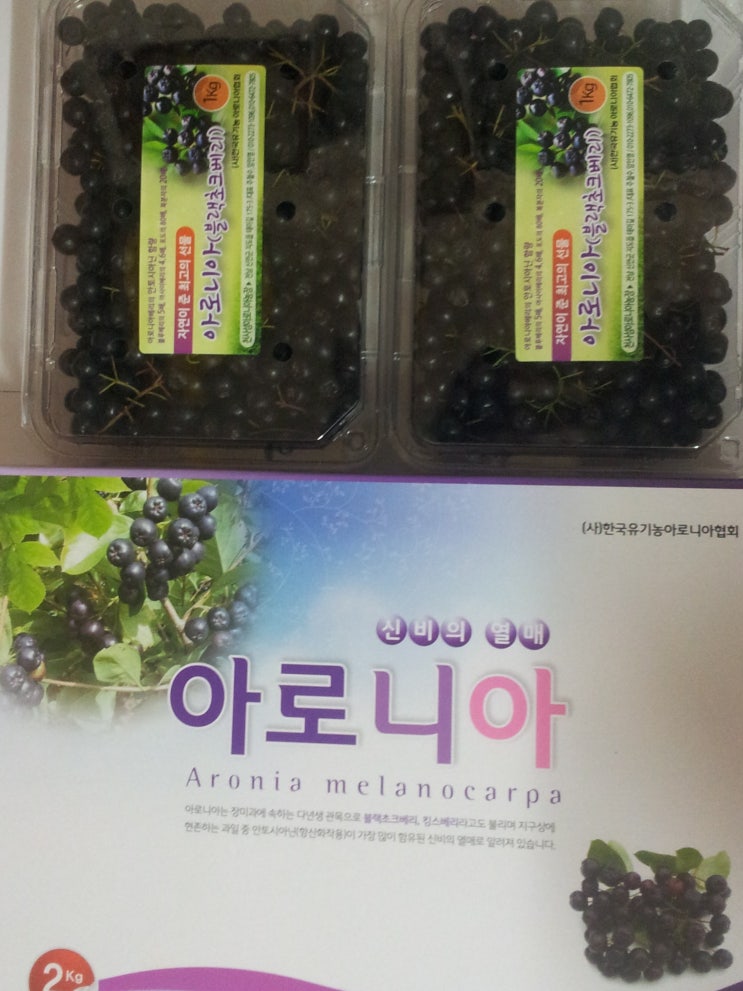 천사섬아로니아농장 이미지