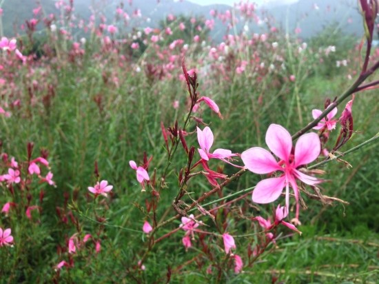 삼척농수산 이미지