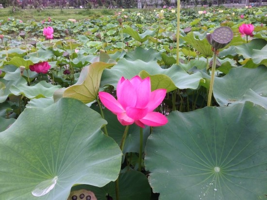 삼척농수산 이미지