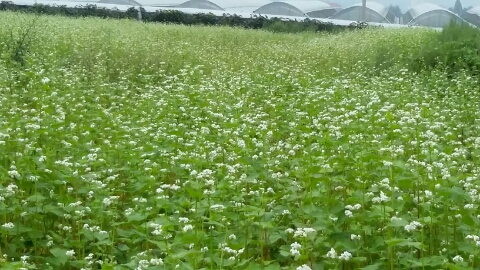 지구촌농원 이미지