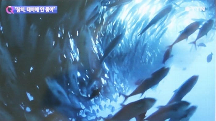 참치이야기 이미지