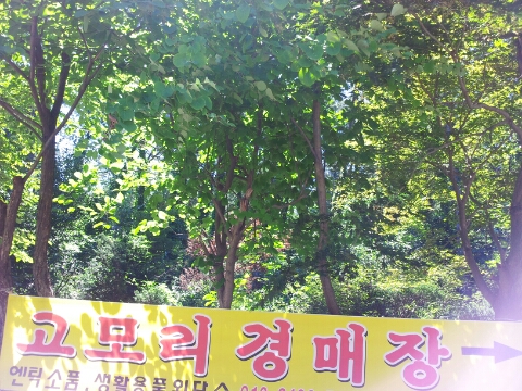 송림이용원 이미지