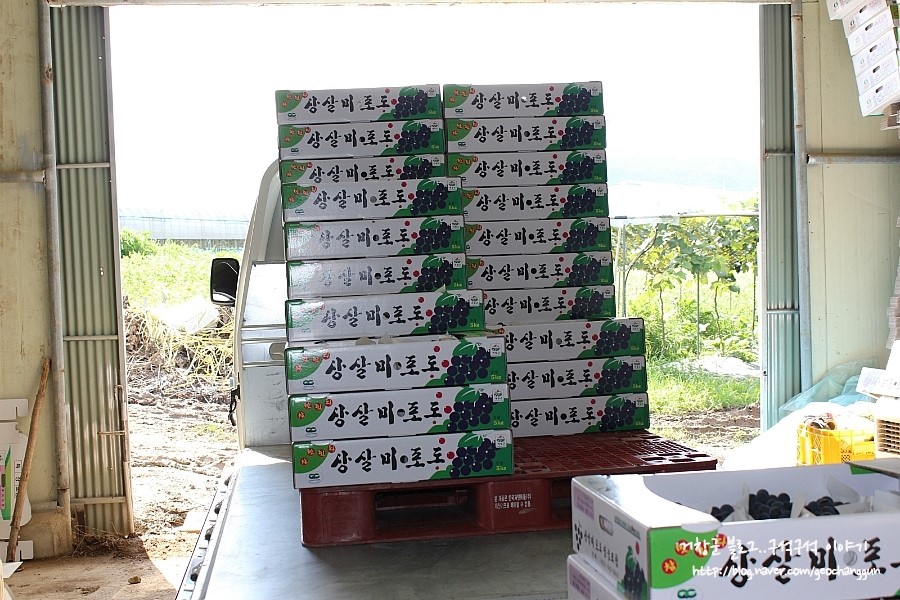 지구촌농원 이미지