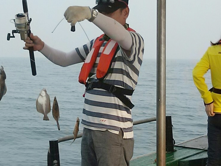 연수가자미 이미지