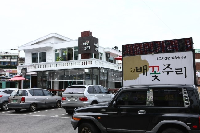 배꽃주리 이미지