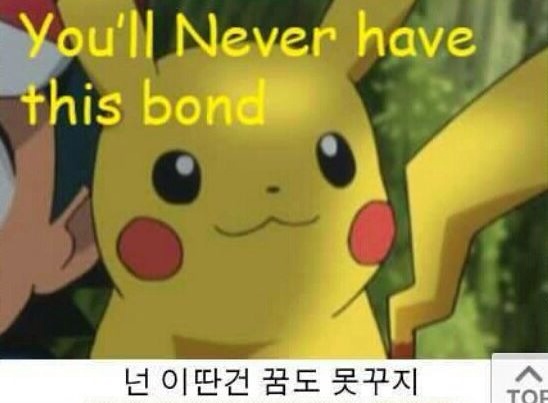 코데프 이미지