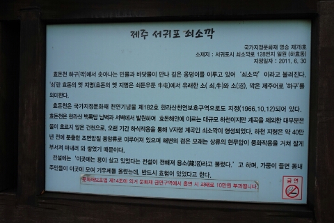 카페운정 이미지