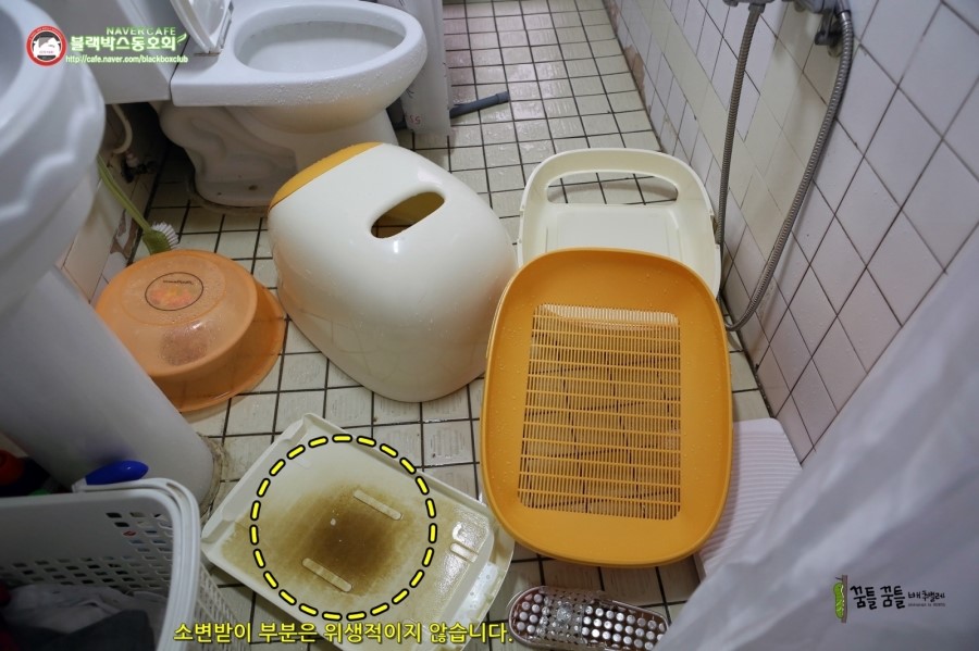 폴리팜 이미지