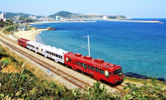 참조은여행사 이미지