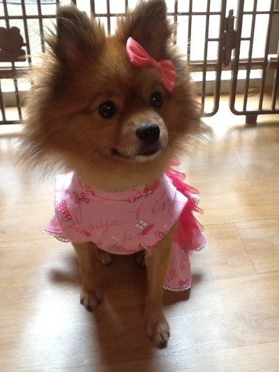 은비세탁 이미지