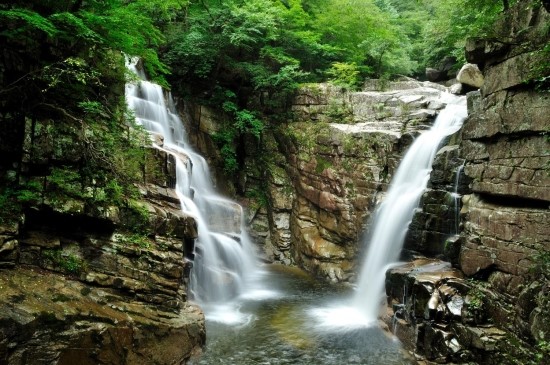 참조은여행사 이미지